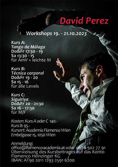 Flamenco Workshop David Perez