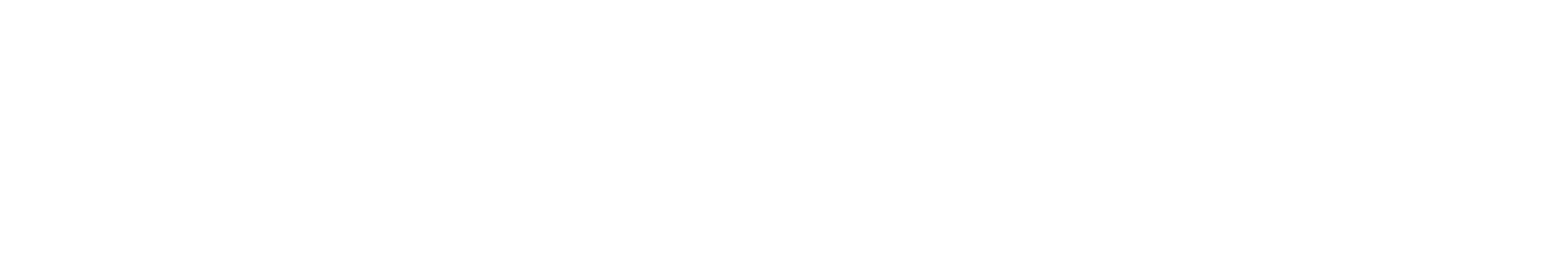 Academia Flamenca Wien