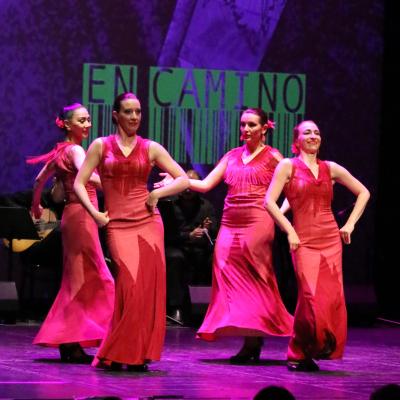 Encamino5