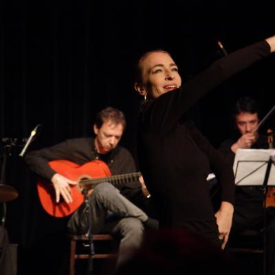 Flamencoklassik3