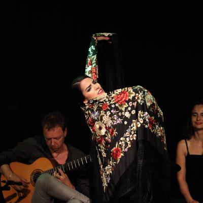 Flamencoymas3