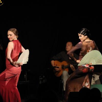 Flamencoymas4