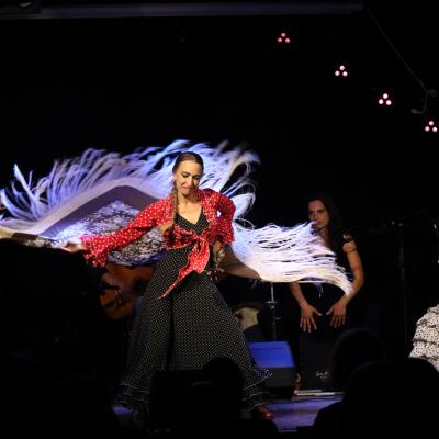 Flamencoymas5