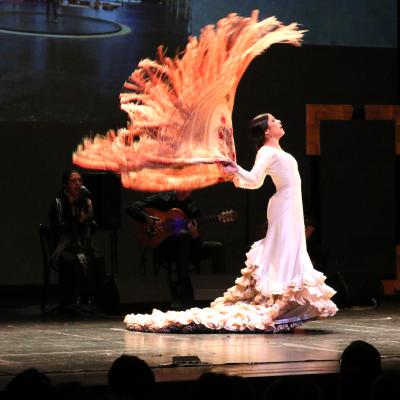 Miraflamenco4
