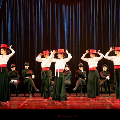 Flamencoontour 1