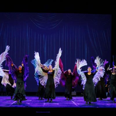 Flamencoontour 3