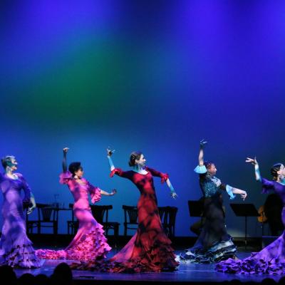 Flamencoontour 4